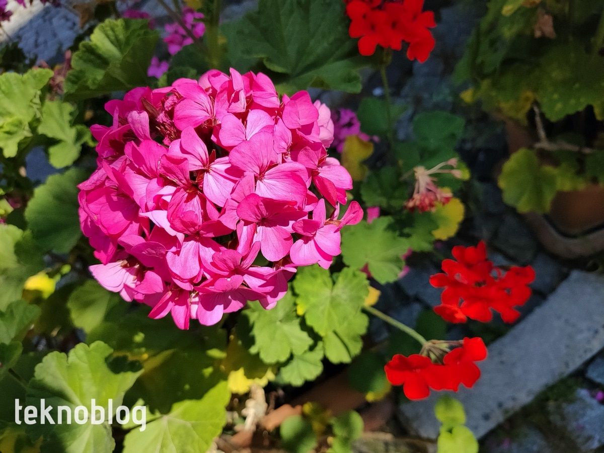 Oppo Reno 3 Pro İncelemesi