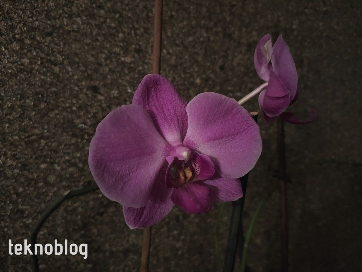 Oppo Reno 3 Pro İncelemesi