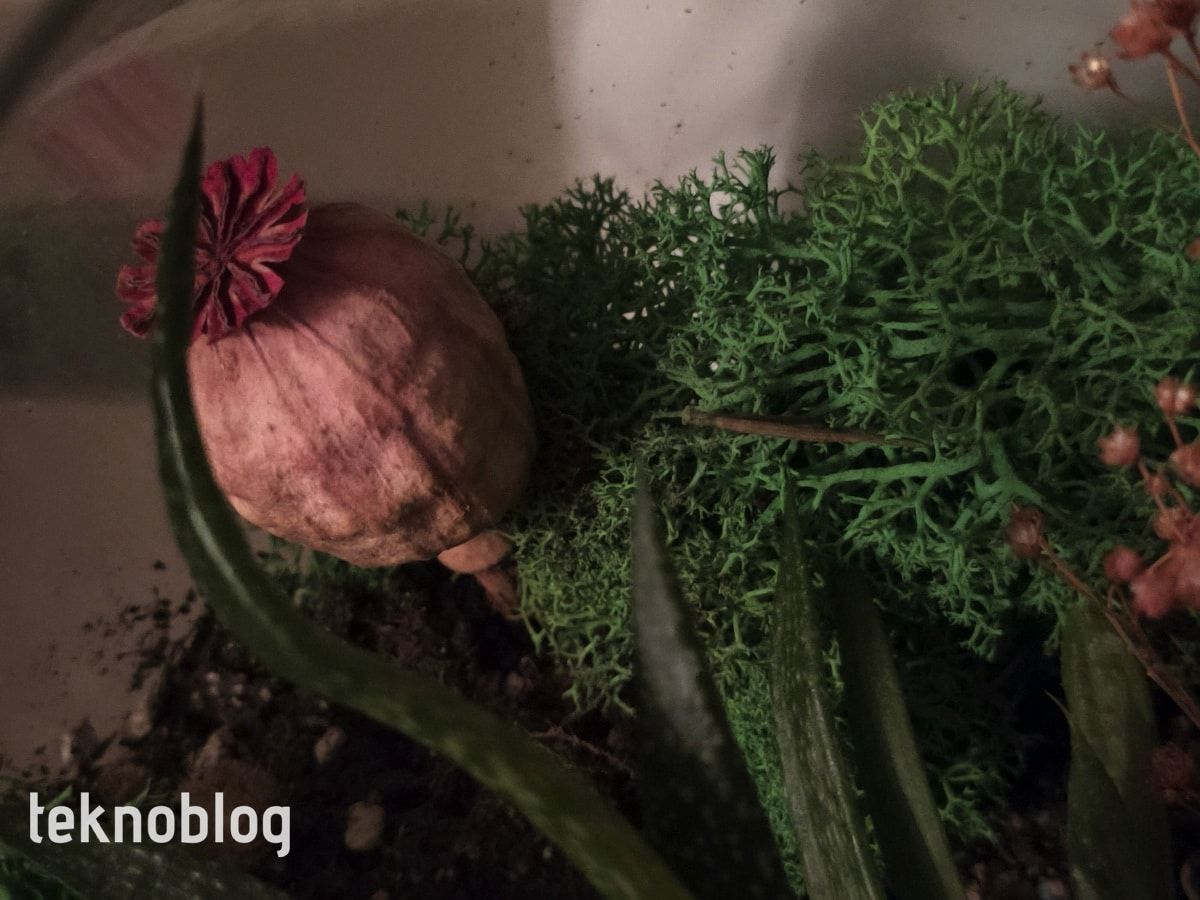 Oppo Reno 3 Pro İncelemesi