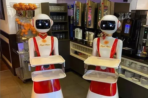 Hollanda’da bir restoran sosyal mesafe için robot garsonlar kullanıyor