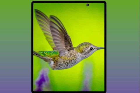 En son Galaxy Fold 2 sızıntısında dikkat çeken ön kamera konumu