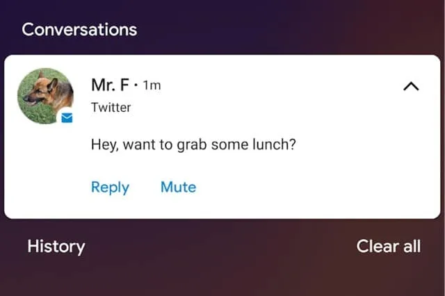 Android 11 ile Twitter mesajlarına ulaşmak kolaylaşacak