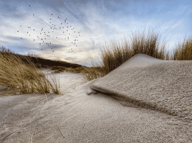 2020 iPhone Fotoğraf Ödülleri yarışmasının kazanan fotoğrafları