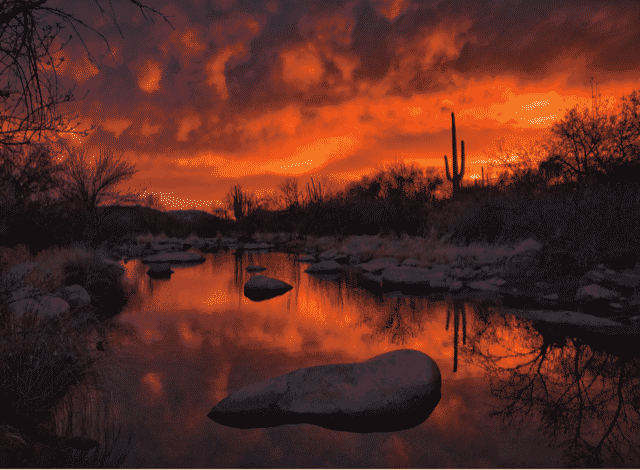 2020 iPhone Fotoğraf Ödülleri yarışmasının kazanan fotoğrafları