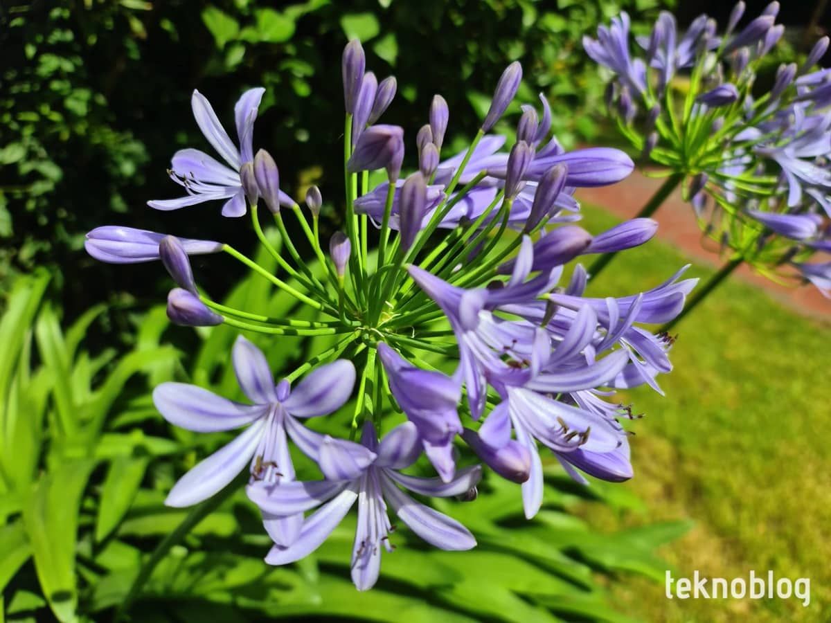 Samsung Galaxy S20 Ultra İncelemesi