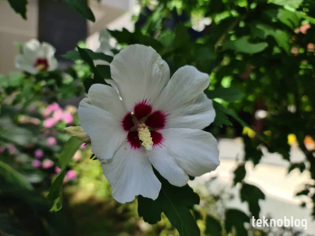 Samsung Galaxy S20 Ultra İncelemesi