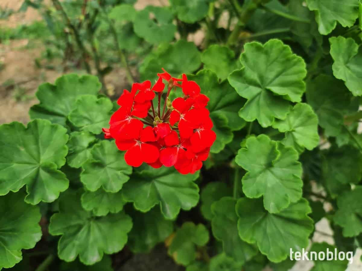 Samsung Galaxy S20 Ultra İncelemesi