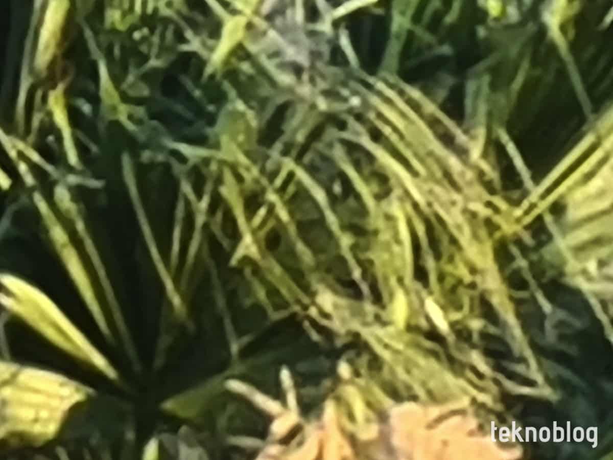 Samsung Galaxy S20 Ultra İncelemesi