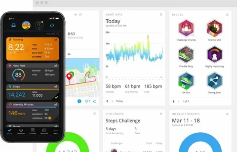 Garmin fidye virüsü saldırısıyla vuruldu