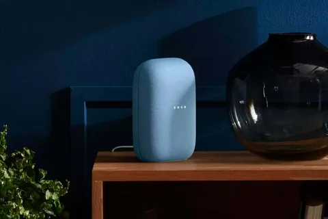 Google Nest akıllı hoparlörler için misafir modu güncellemesi