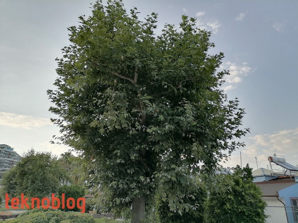 Huawei P40 Lite E İncelemesi