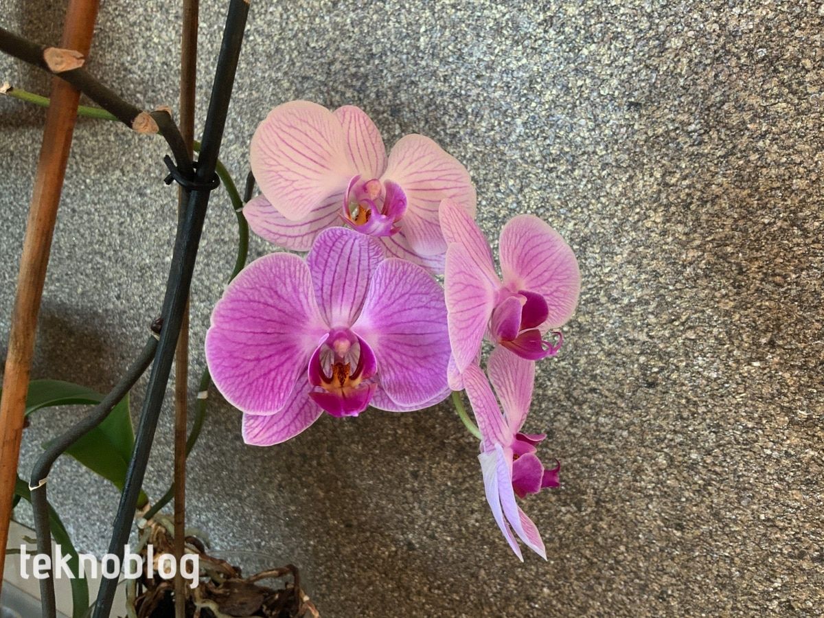 iPad Pro (2020) İncelemesi