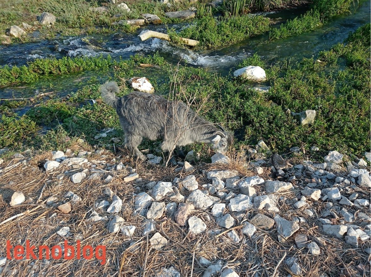 Redmi Note 9 İncelemesi