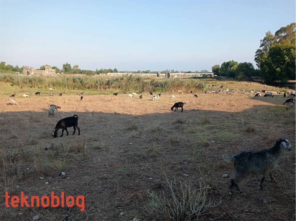 Redmi Note 9 İncelemesi