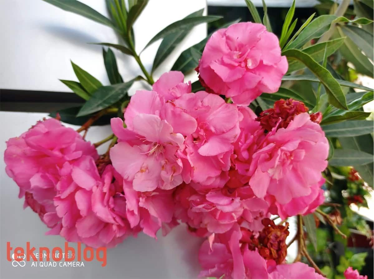 Redmi Note 9 İncelemesi