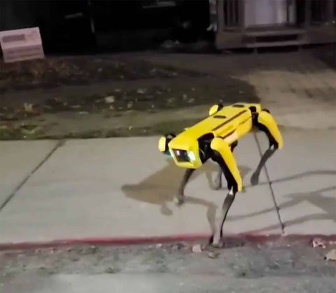 Boston dynamics robot spot