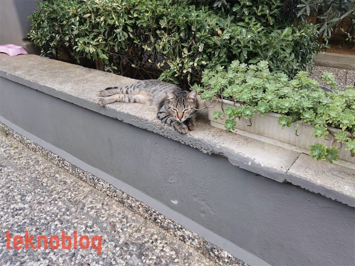 Huawei MatePad Pro İncelemesi