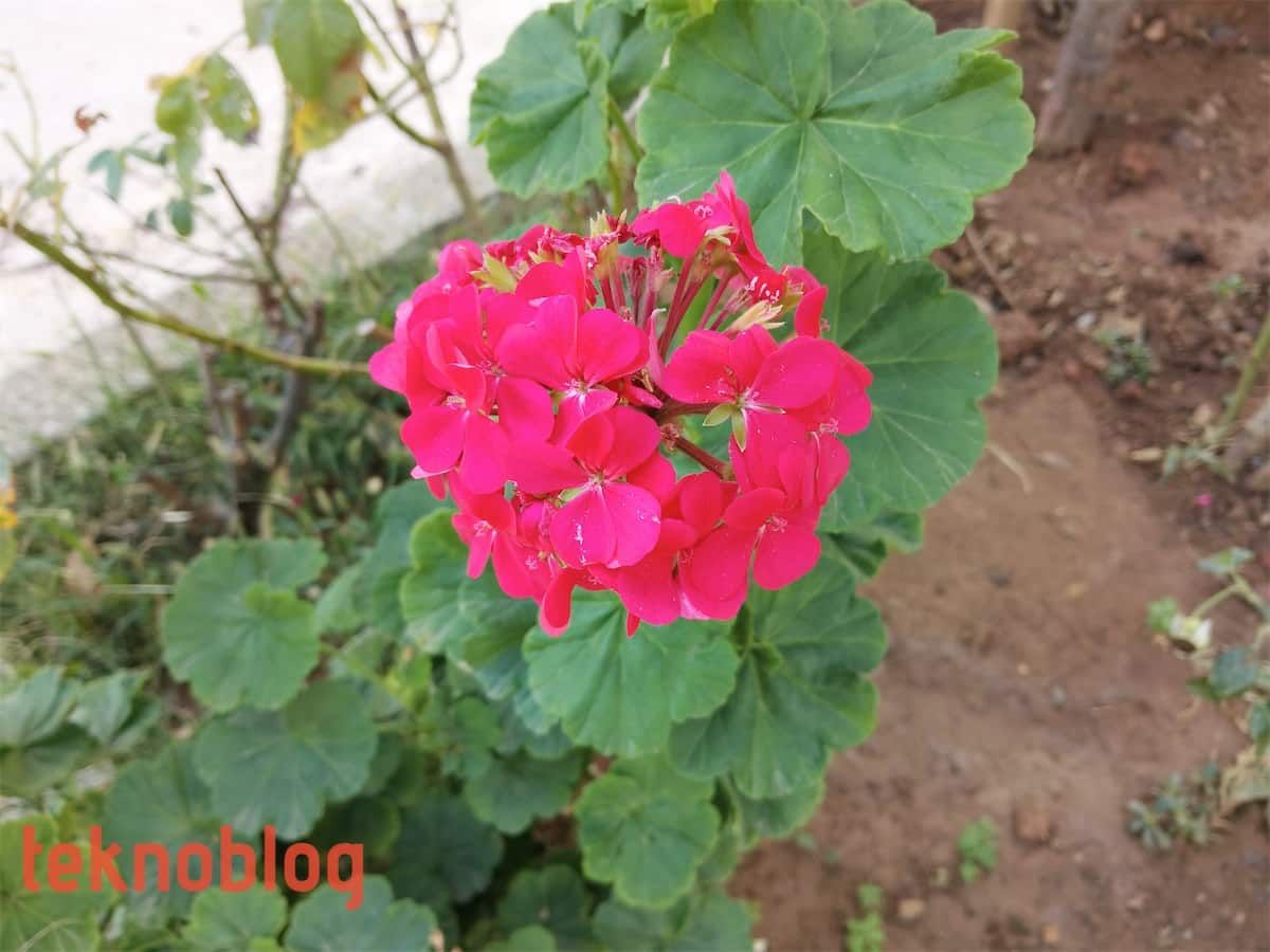 Huawei MatePad Pro İncelemesi