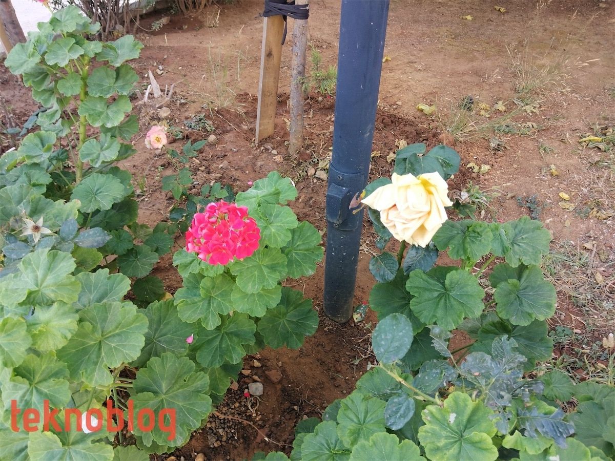 Huawei MatePad Pro İncelemesi