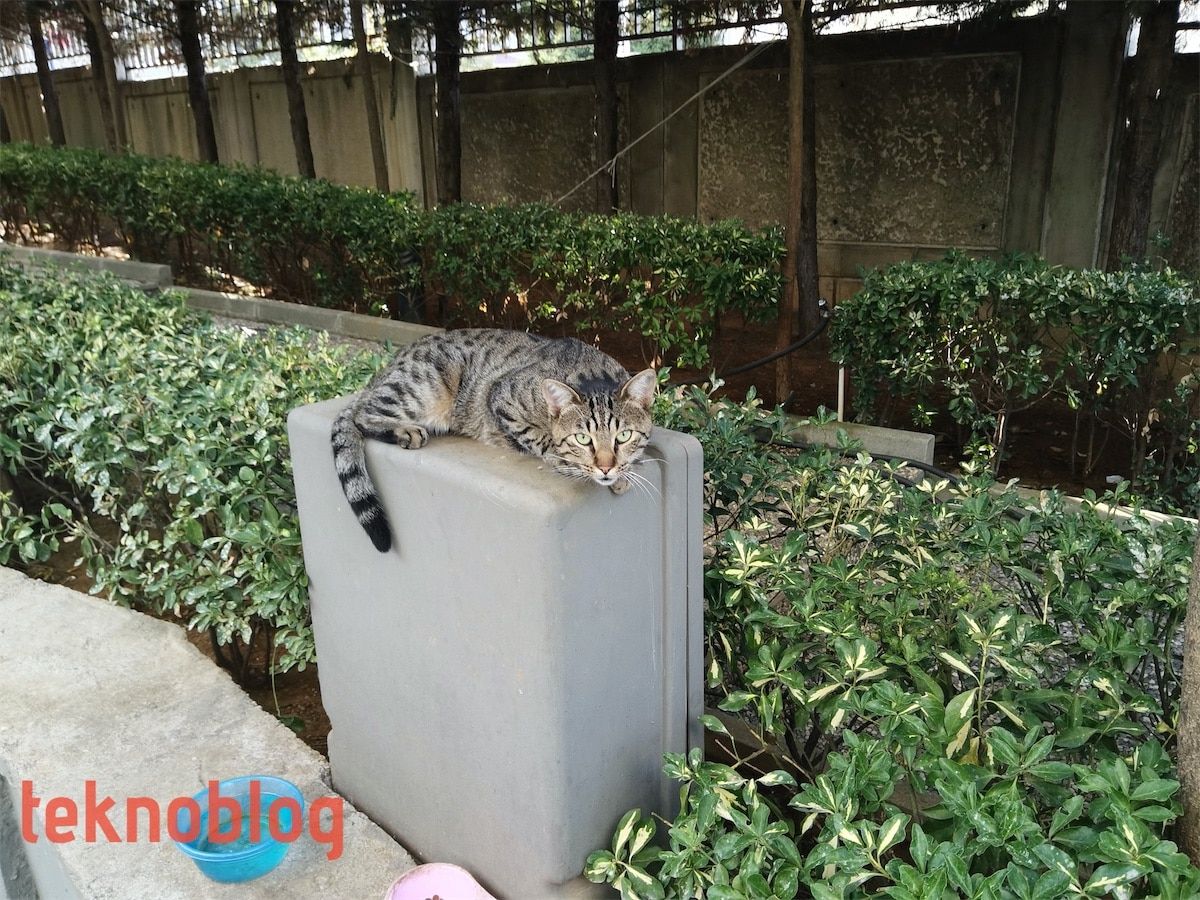 Huawei MatePad Pro İncelemesi