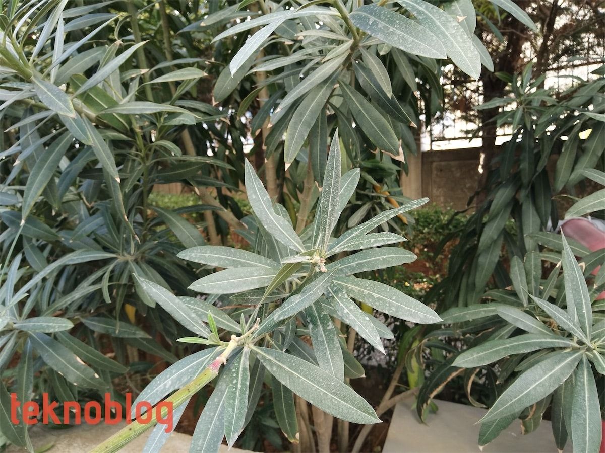 Huawei MatePad Pro İncelemesi