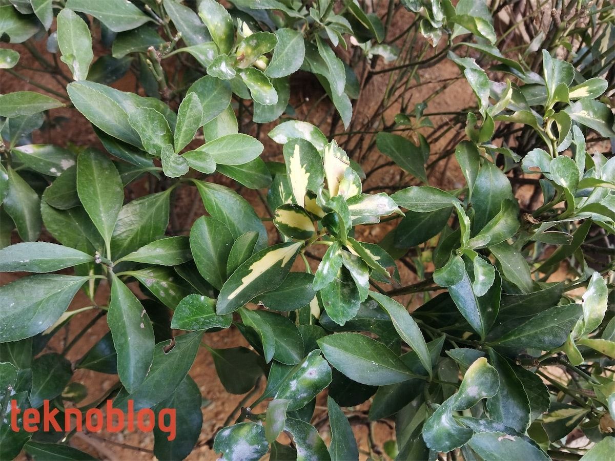 Huawei MatePad Pro İncelemesi