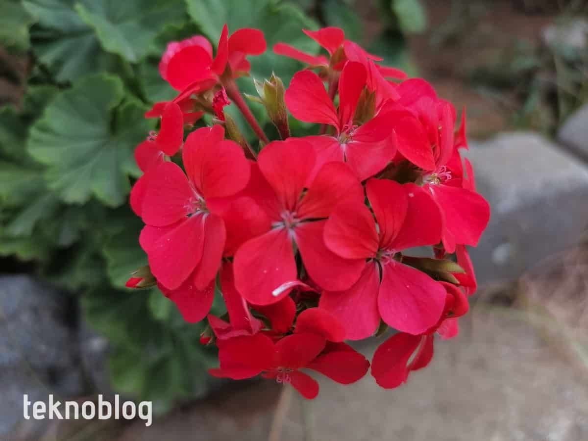 Huawei P Smart S İncelemesi