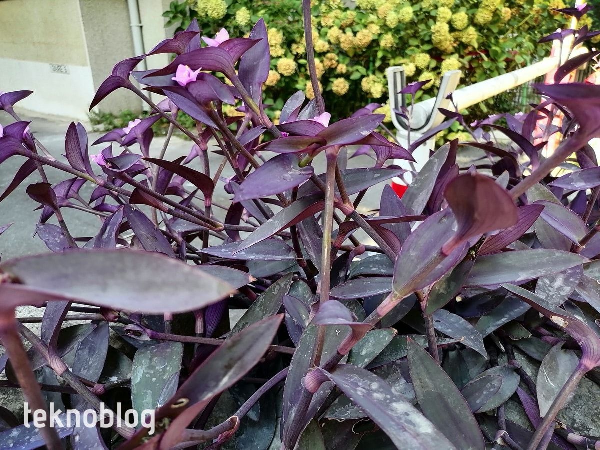 Huawei P Smart S İncelemesi