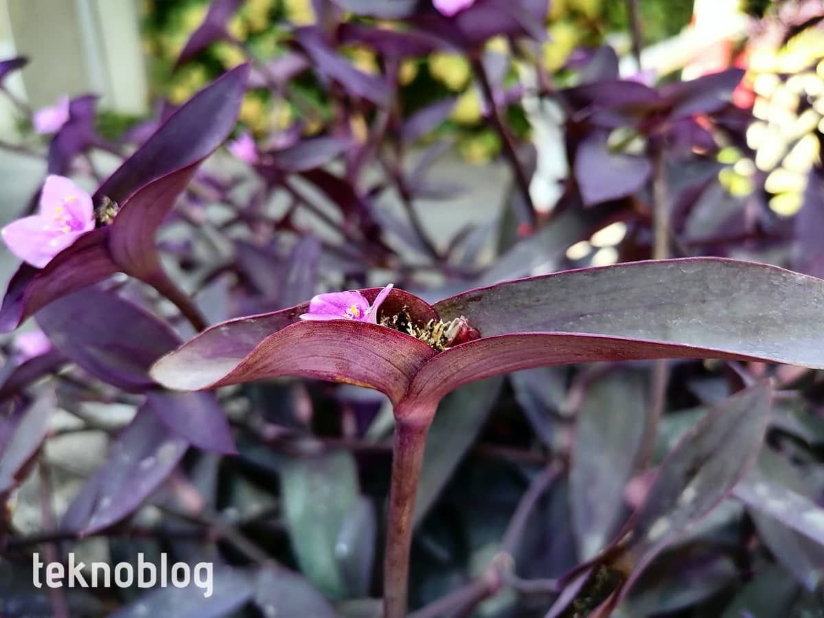 Huawei P Smart S İncelemesi