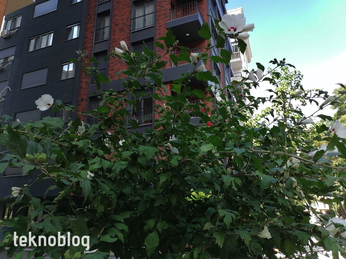 Huawei P Smart S İncelemesi