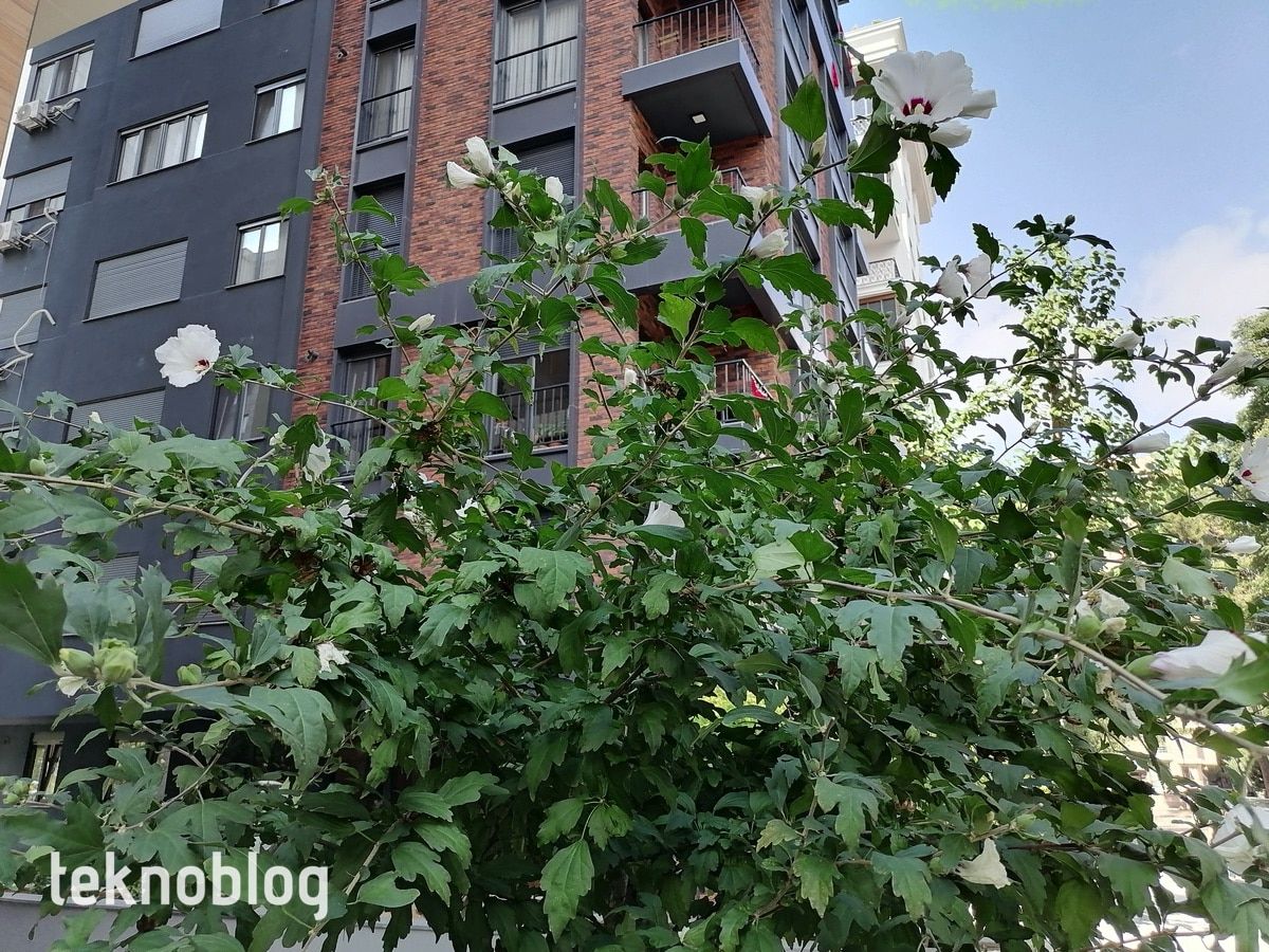 Huawei P Smart S İncelemesi