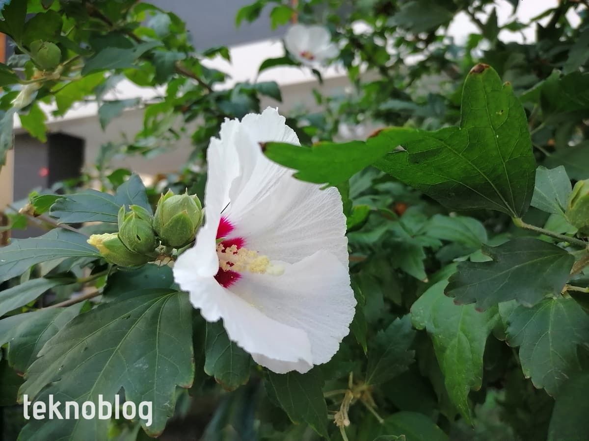 Huawei P Smart S İncelemesi