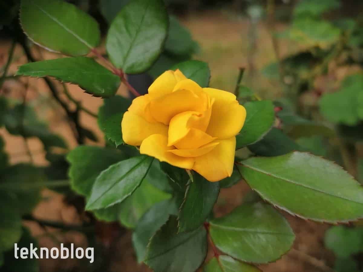 Huawei P Smart S İncelemesi