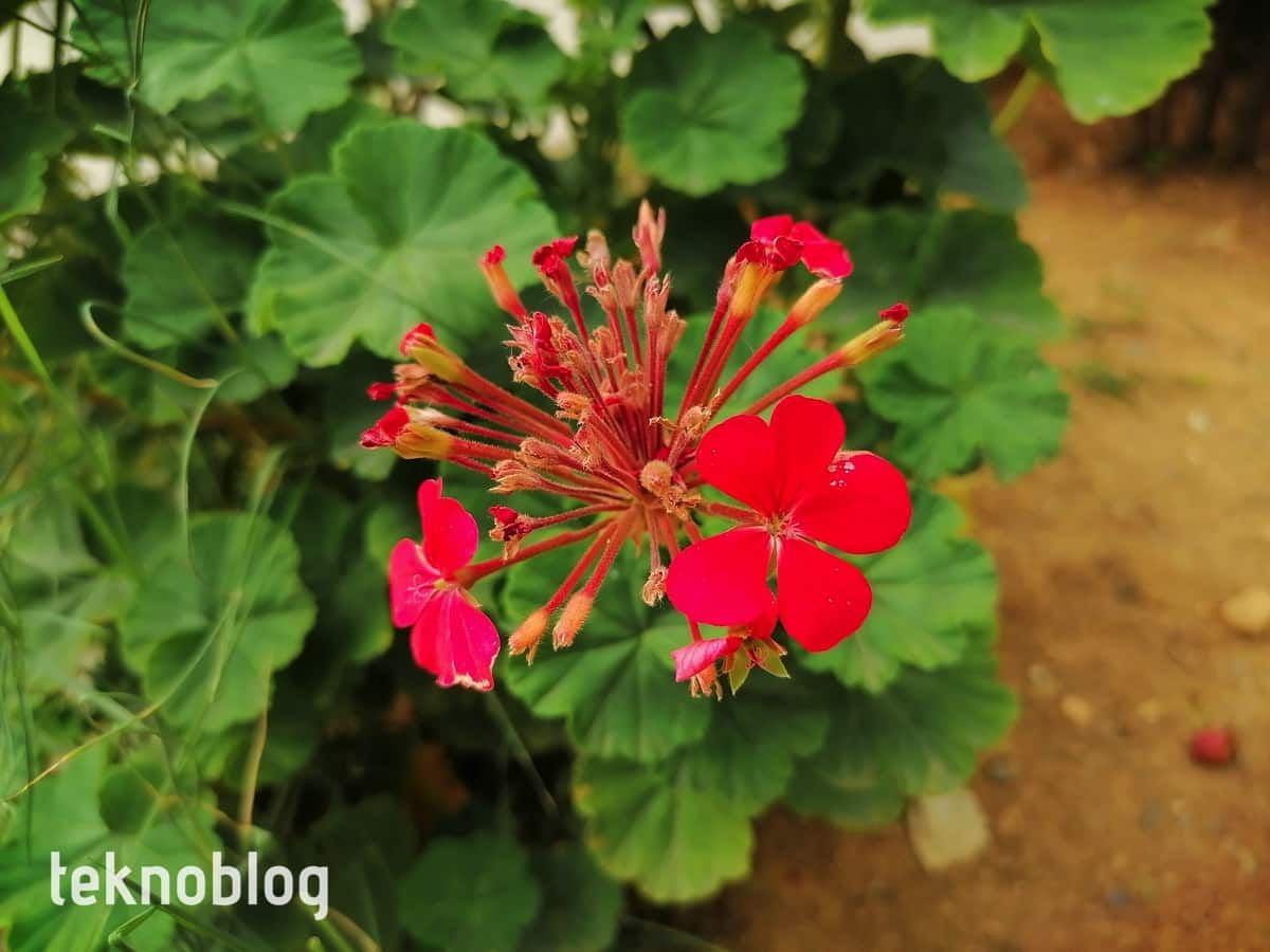 Huawei P Smart S İncelemesi