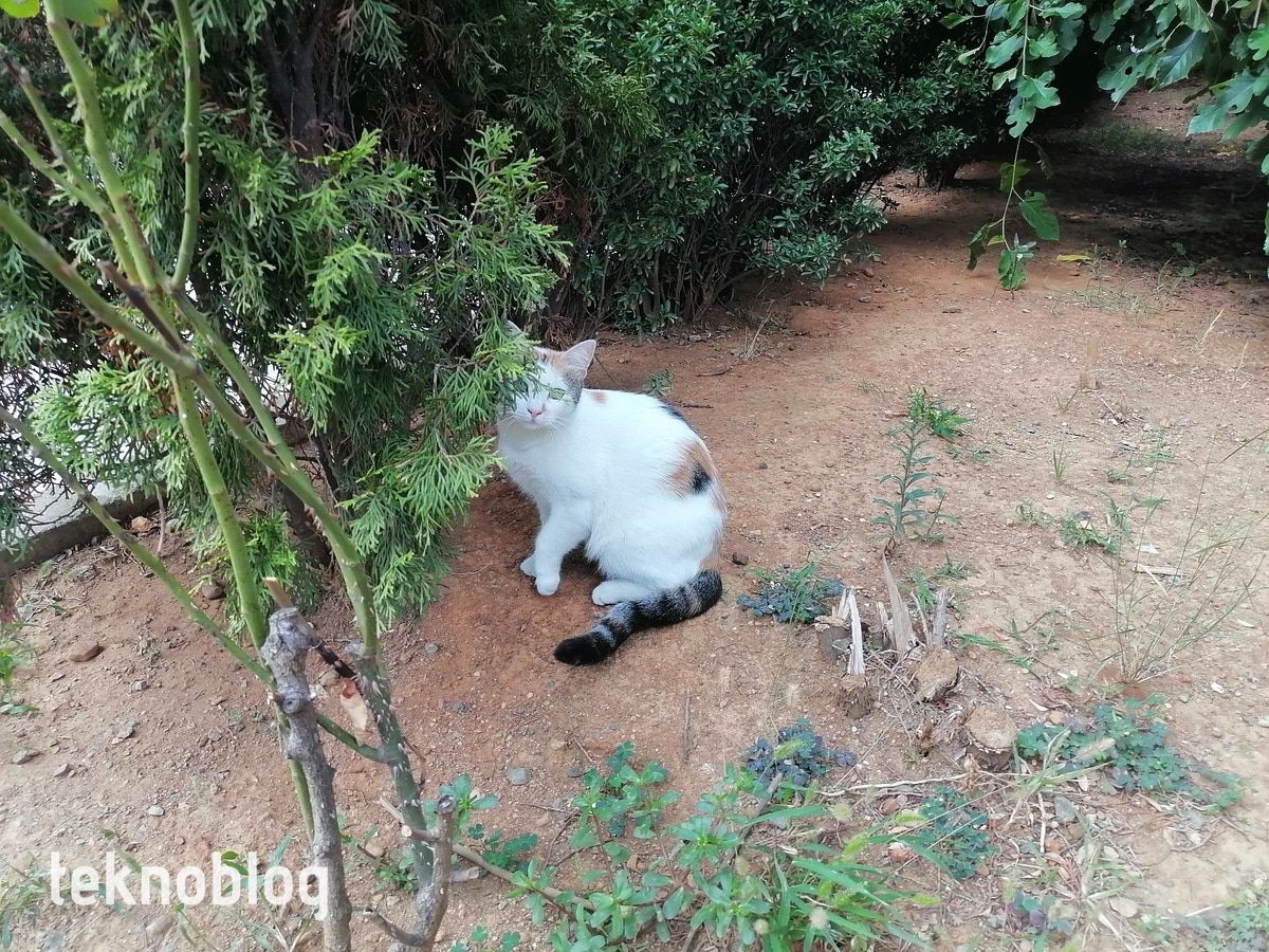 Huawei P Smart S İncelemesi