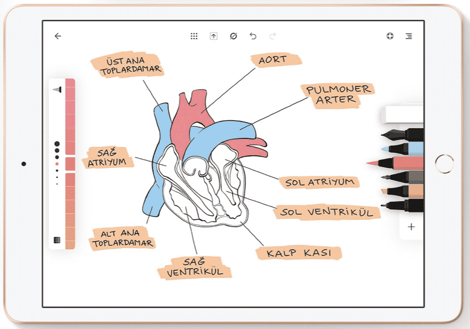 iPad ile okula dönüş: Daha verimli bir eğitim-öğretim dönemi için araçlar