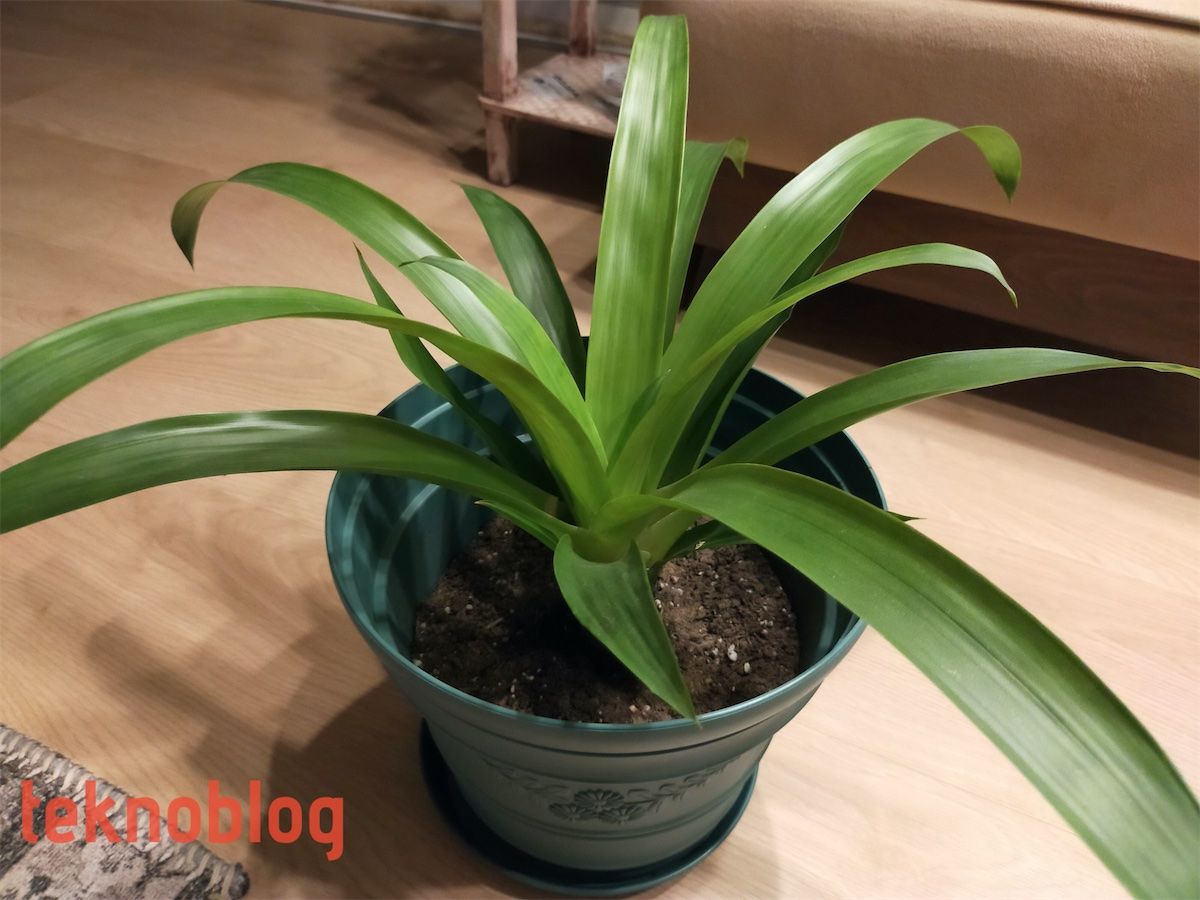 Oppo A72 İncelemesi