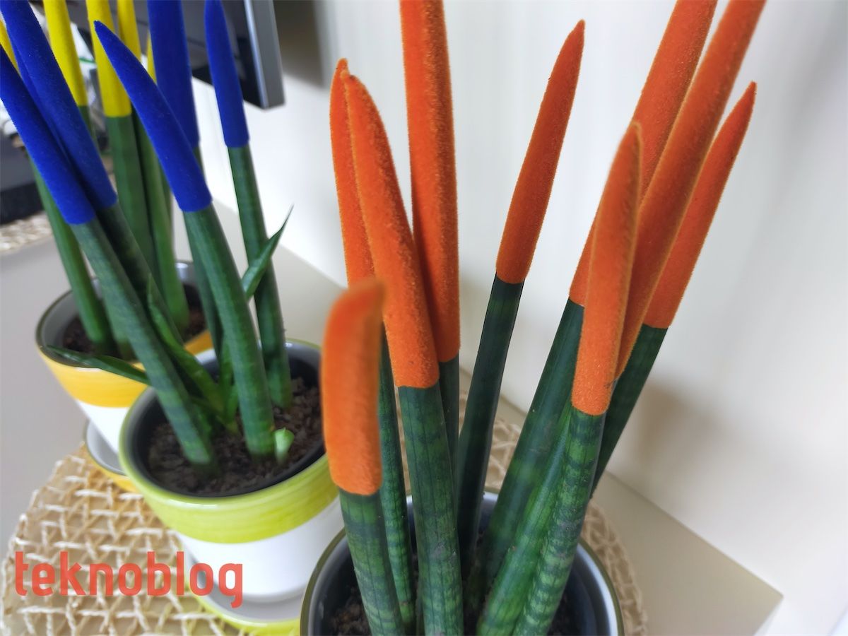 Oppo A72 İncelemesi