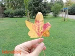Realme C11 İncelemesi