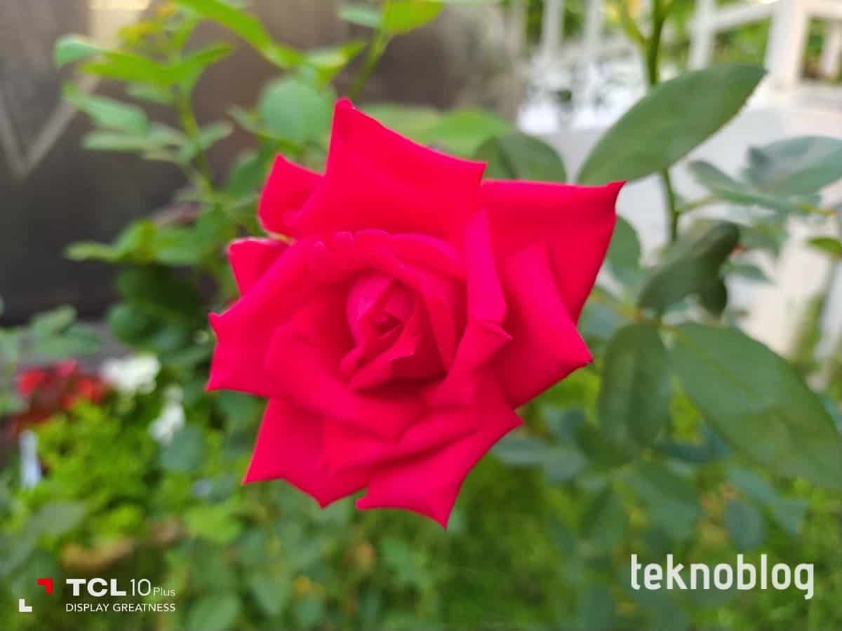 TCL 10 Plus İncelemesi