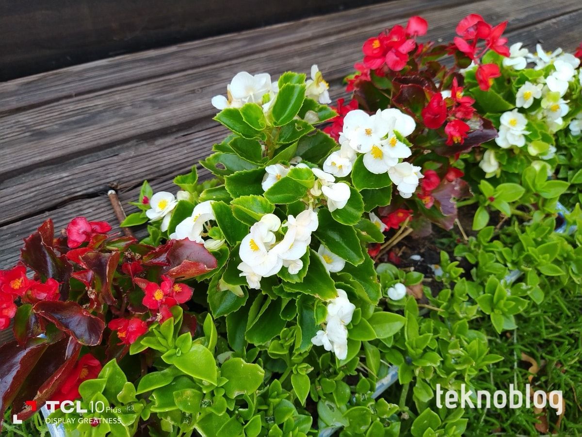 TCL 10 Plus İncelemesi