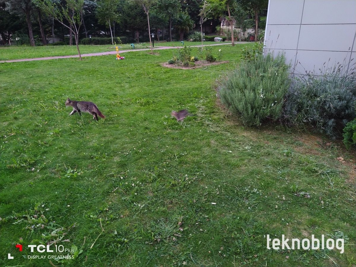 TCL 10 Plus İncelemesi