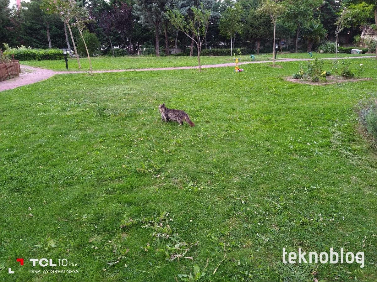 TCL 10 Plus İncelemesi