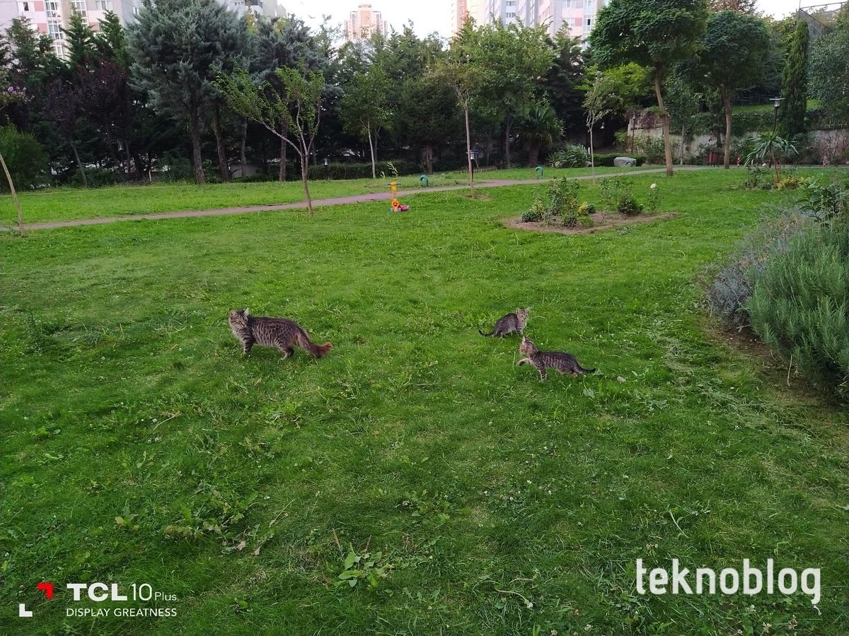 TCL 10 Plus İncelemesi