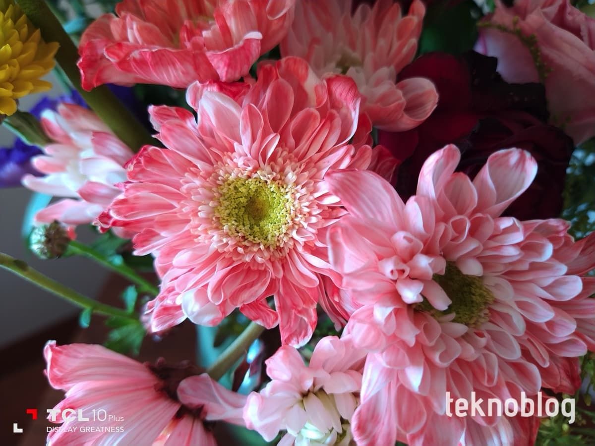 TCL 10 Plus İncelemesi