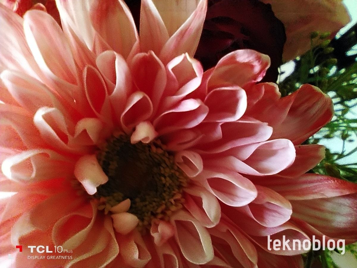 TCL 10 Plus İncelemesi