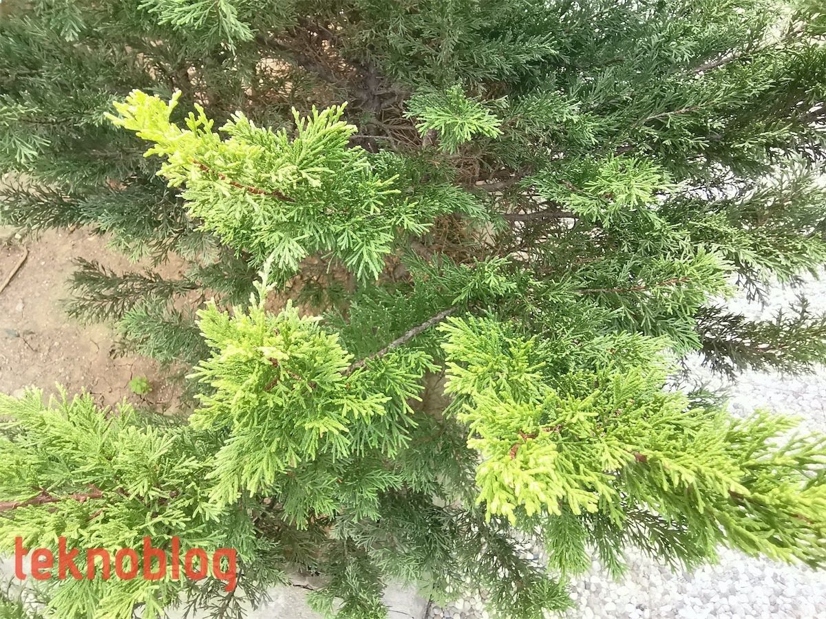 Huawei MatePad 10.4 İncelemesi