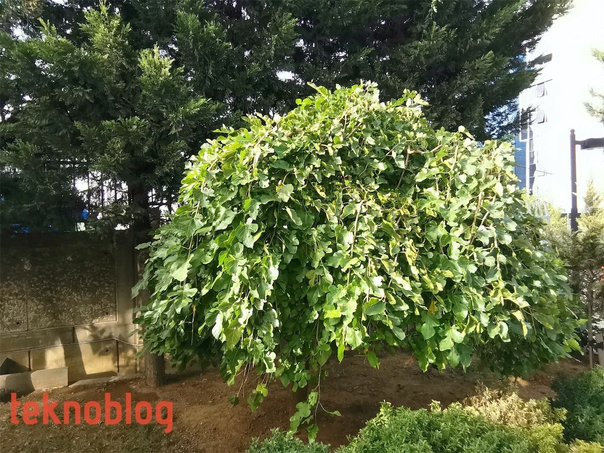 Huawei MatePad 10.4 İncelemesi