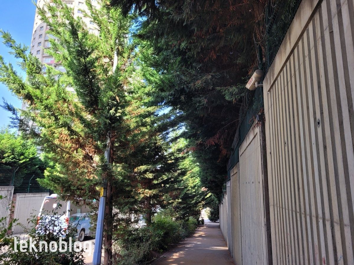 Samsung Galaxy S20 FE İncelemesi