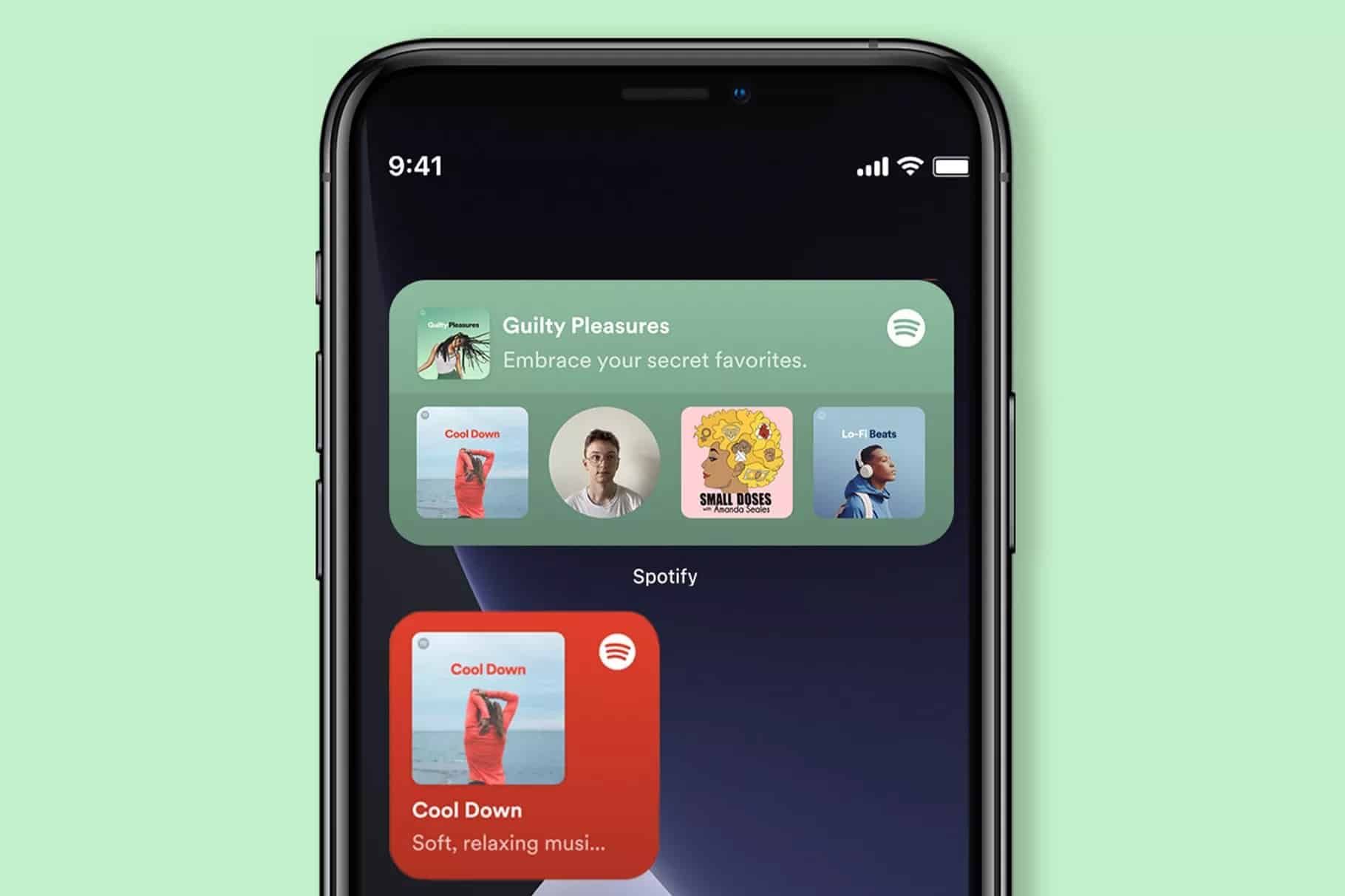 spotify ios 14 araç takımı